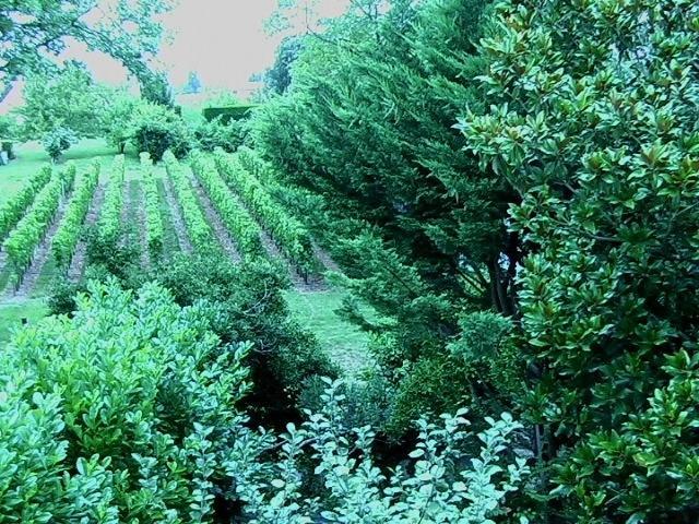Bed and Breakfast Les Id De Saint Emilion Exteriér fotografie